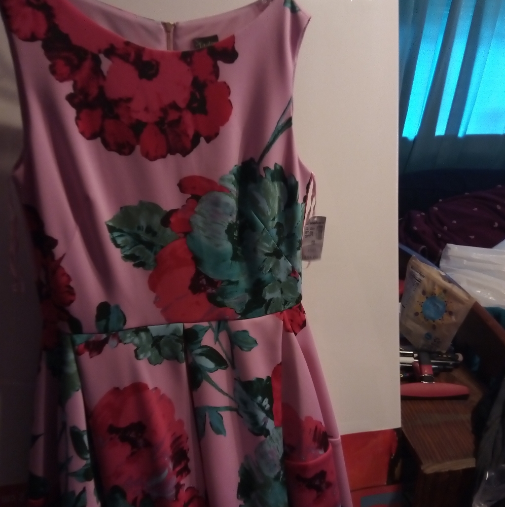Pink floral Taylor dress w/pockets NWT